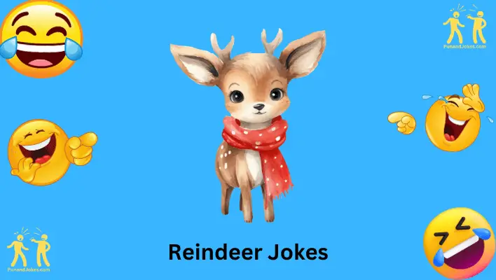 Reindeer Jokes