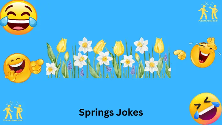 Spring Jokes