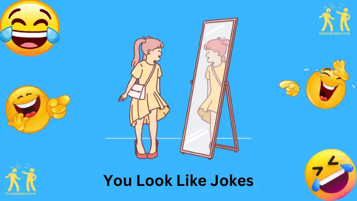 'You Look Like' Jokes