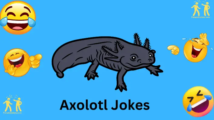 axolotl jokes