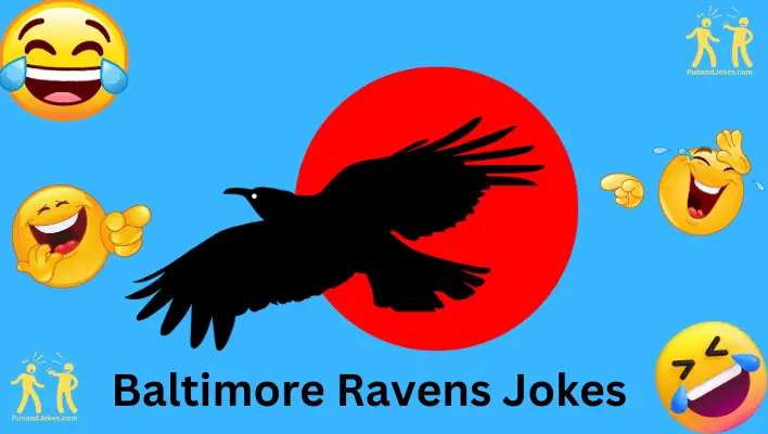 baltimore ravens jokes