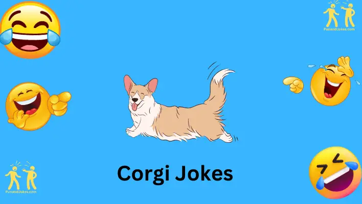 corgi jokes