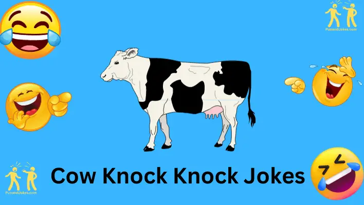 cow knock knock jokes