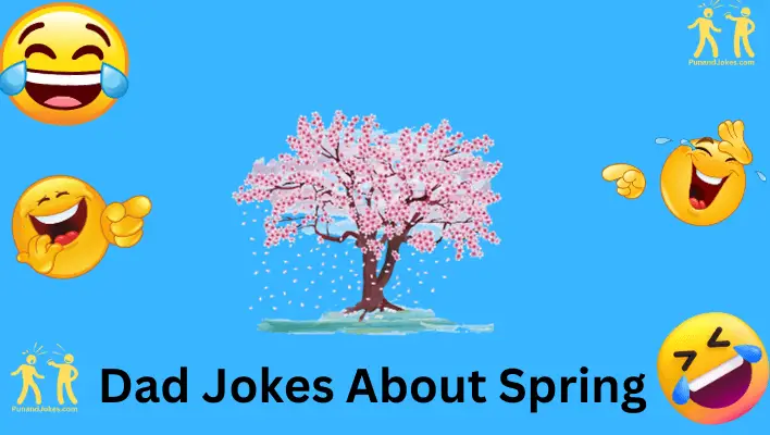 dad jokes about spring