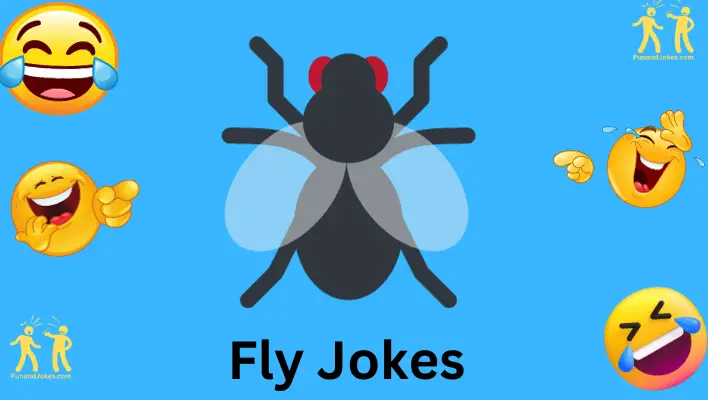 fly jokes