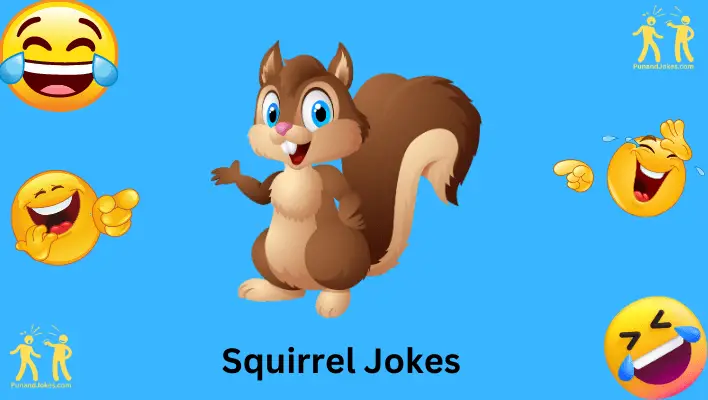 Squirrel Jokes