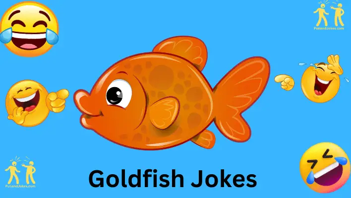 goldfish jokes