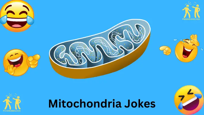 Mitochondria Jokes: