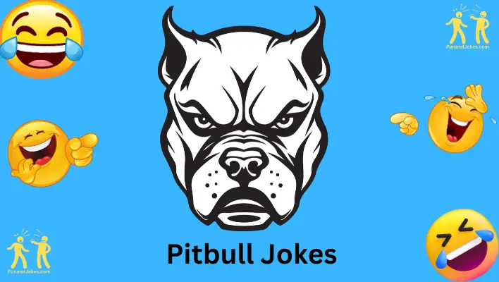 pitbull-jokes: