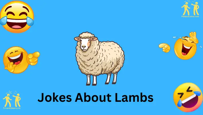 jokes about lambs