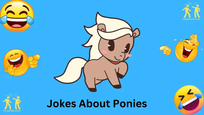 jokes about ponies