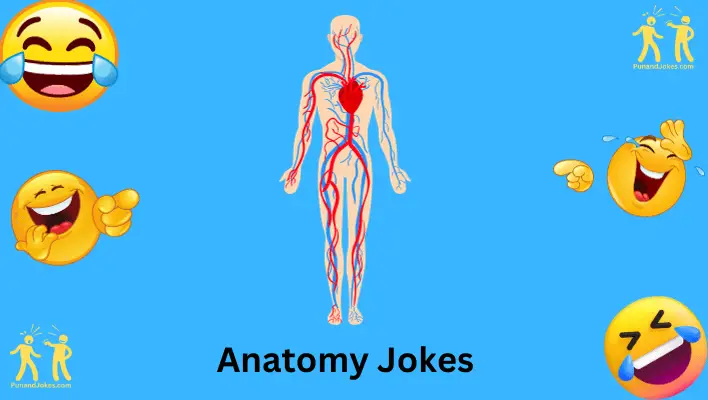 anatomy-jokes: