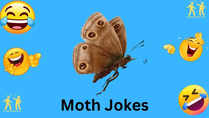 moth jokes