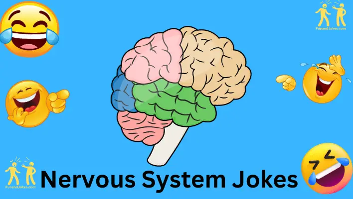 nervous system jokes