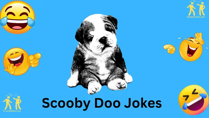 scooby doo jokes