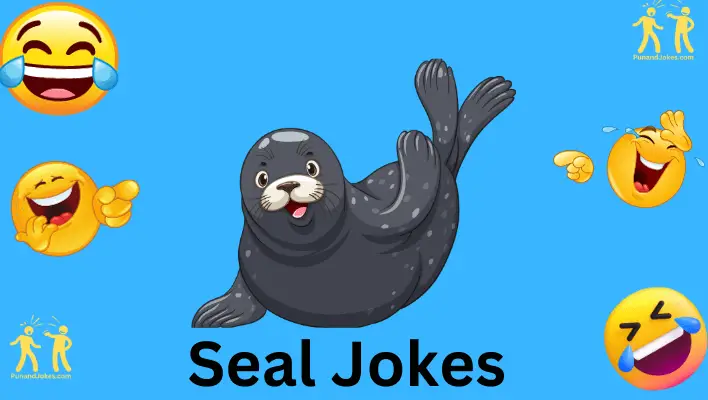 seal jokes