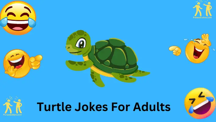 turtle jokes for adults