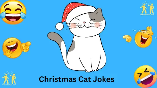 cat-jokes