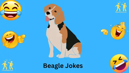 beagle-jokes