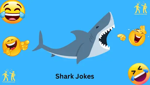 Shark Jokes