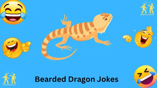 bearded-dragon-jokes