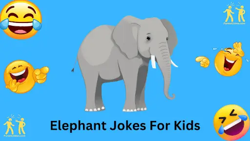 elephant-jokes: