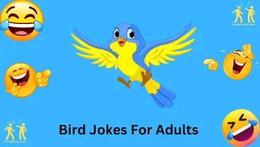 humorous-bird-jokes: