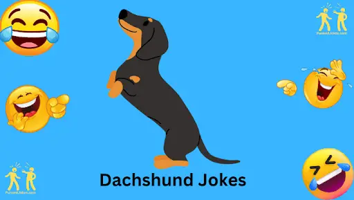 dachshund-jokes