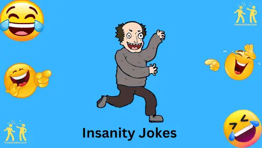 insanity-jokes!