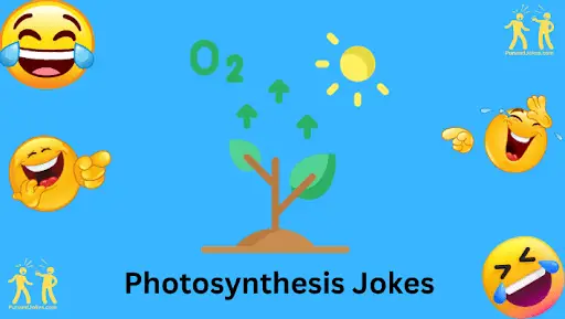 Photosynthesis Jokes