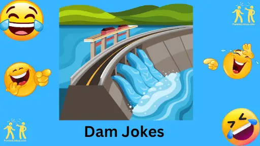 dam-jokes