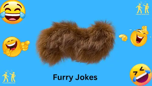 Furry Jokes