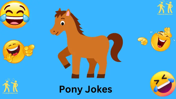 Pony Jokes