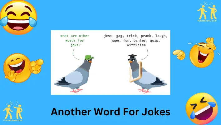 Another Word For Jokes