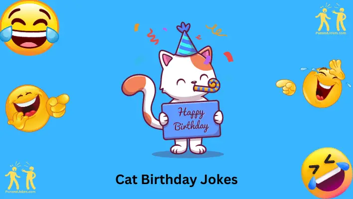 Cat Birthday Jokes