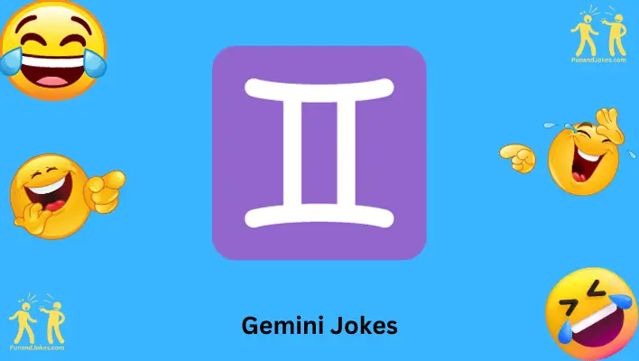 Gemini Jokes