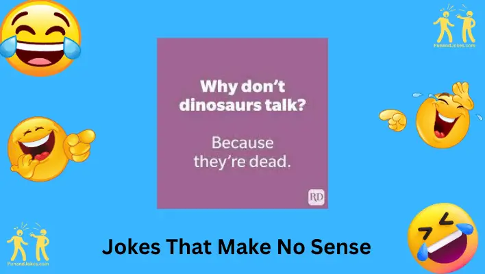 Jokes That Make No Sense