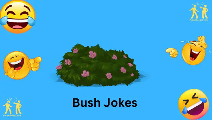 bush jokes