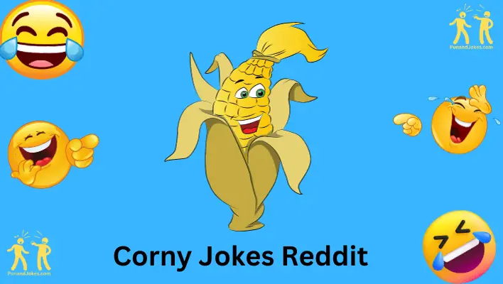 corny jokes reddit