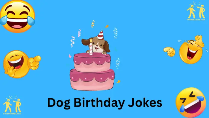 dog birthday jokes