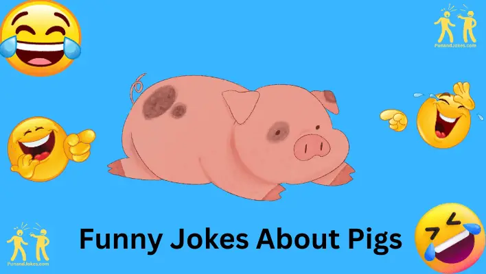 funny jokes about pigs