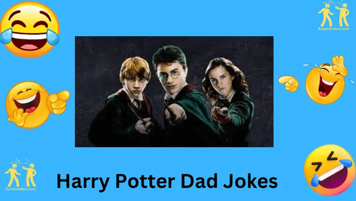 Harry Potter Dad Jokes