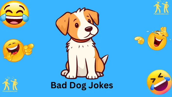 Bad Dog Jokes