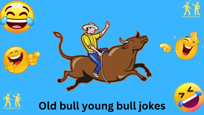 Old Bull, Young Bull Jokes