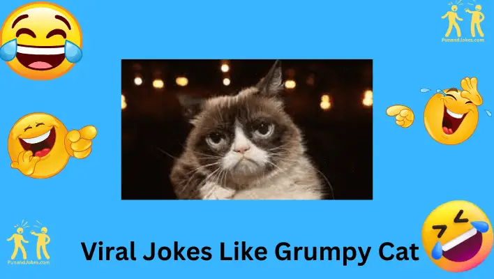 Viral Jokes Like Grumpy Cat