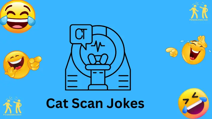 cat scan jokes