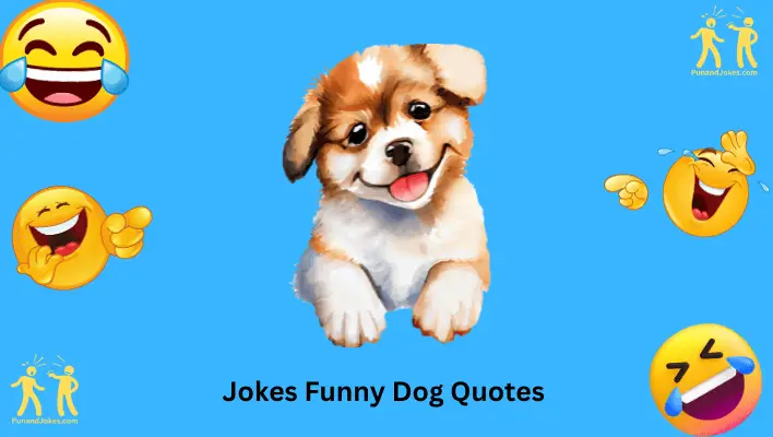 jokes funny dog quotes