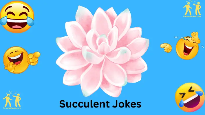 Succulent Jokes