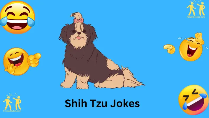 Shih Tzu Jokes