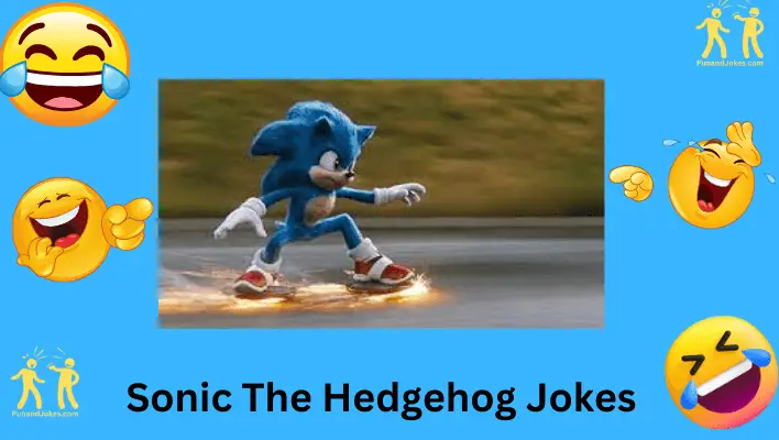 Sonic the Hedgehog Jokes